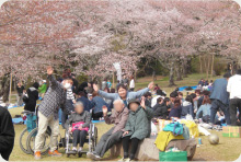 春にはお花見へ